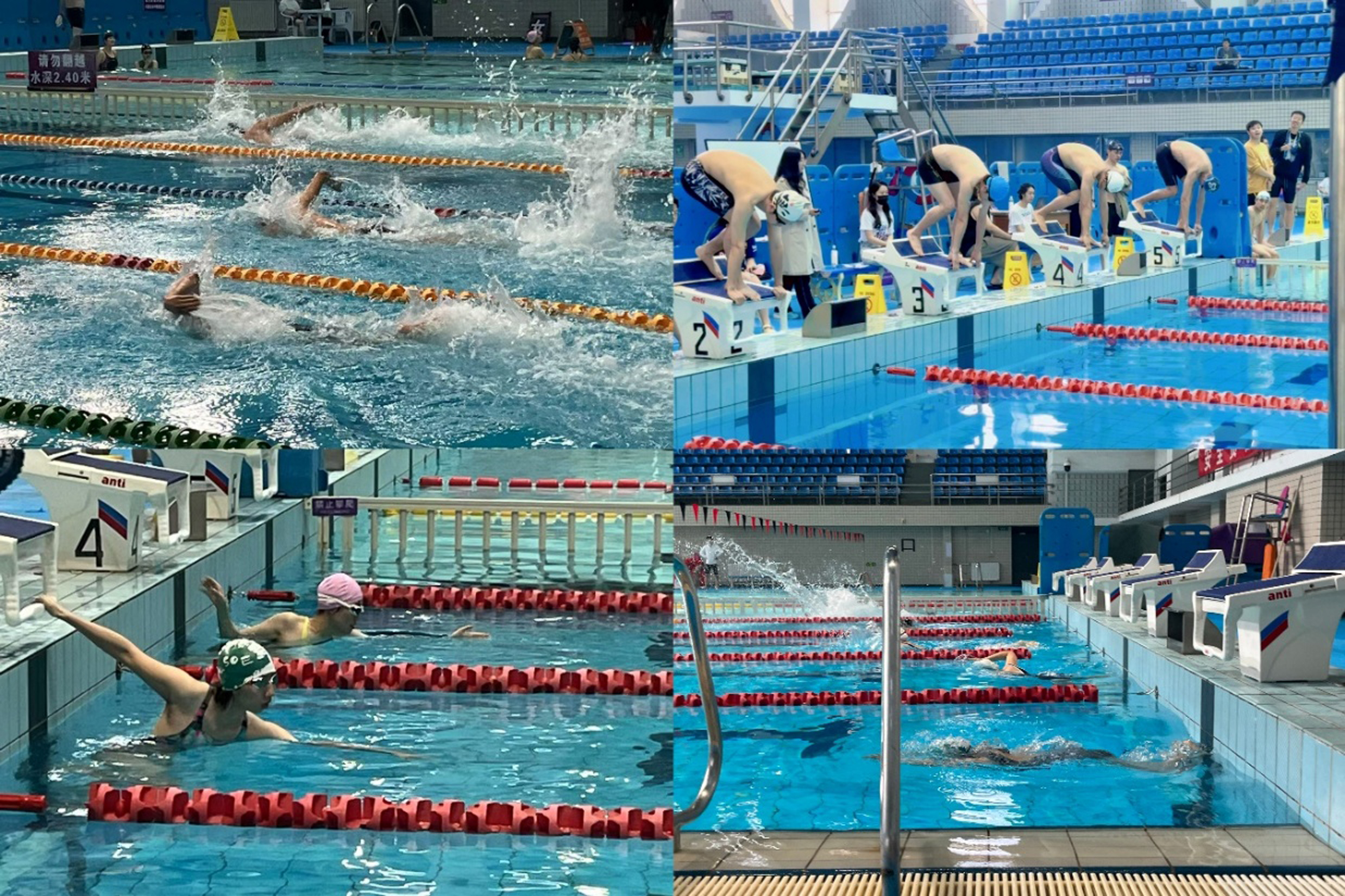 20250427-2025年春季学期米兰·体育研究生游泳联赛-拼图-1.jpg