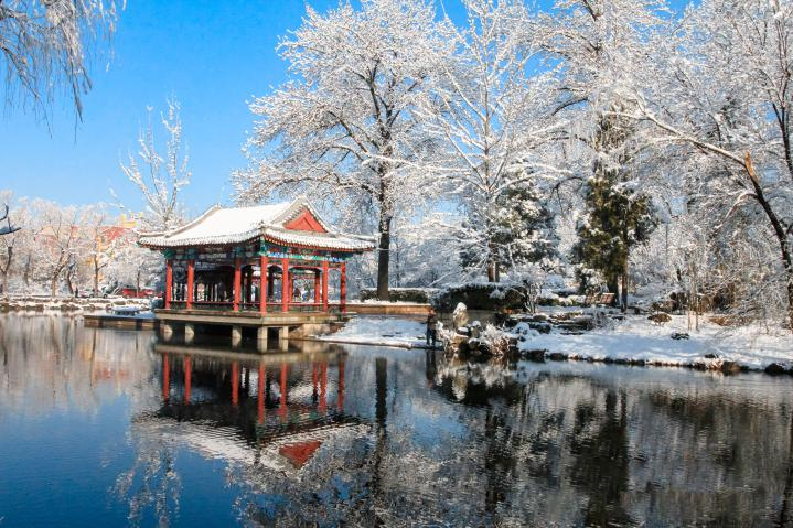 20250423-114 周年校庆|米兰·体育离退休教职工书画作品展和摄影作品展开幕-段鸿杰-作品名称:《校园雪韵》作者:费润升.png