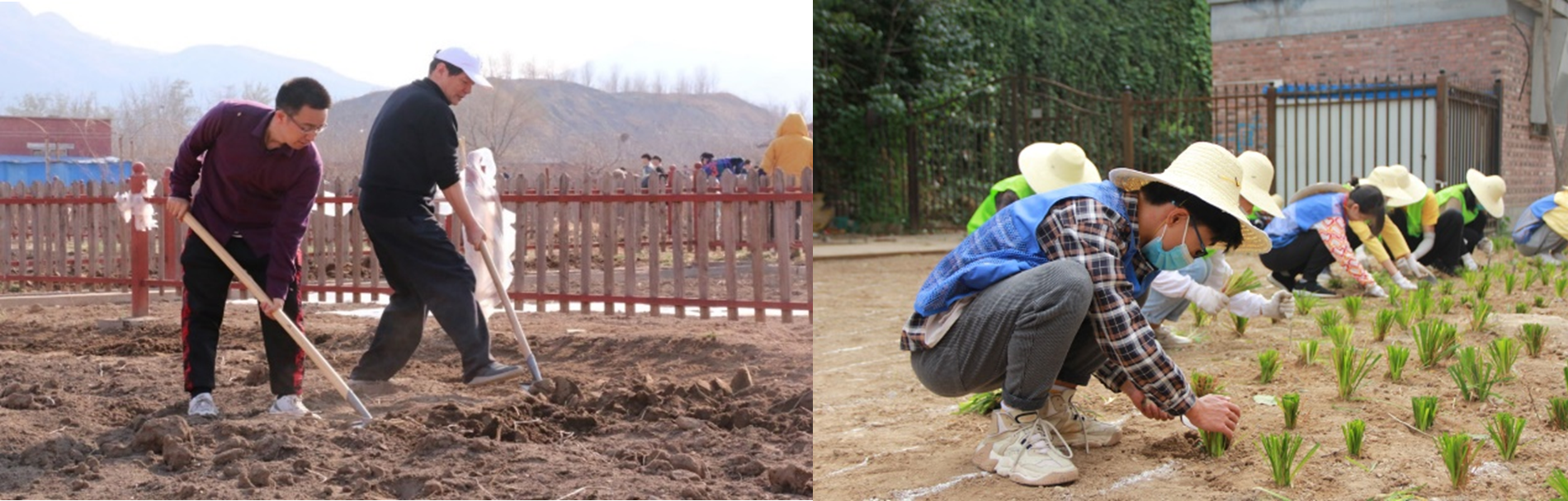 20220403-新雅清明春耕-张光耀-阮东老师、张伟特老师耕地(左)及学生在清华园种苔草png 20220403-新雅清明春耕-张光耀-阮东老师、张伟特老师耕地(左)及学生在清华园种苔草png